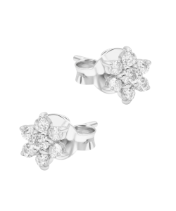 Beautiful Flower Silver Stud Earring STS-7122